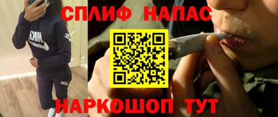 прущие грибы Комсомольск-на-Амуре
