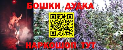 прущие грибы Комсомольск-на-Амуре
