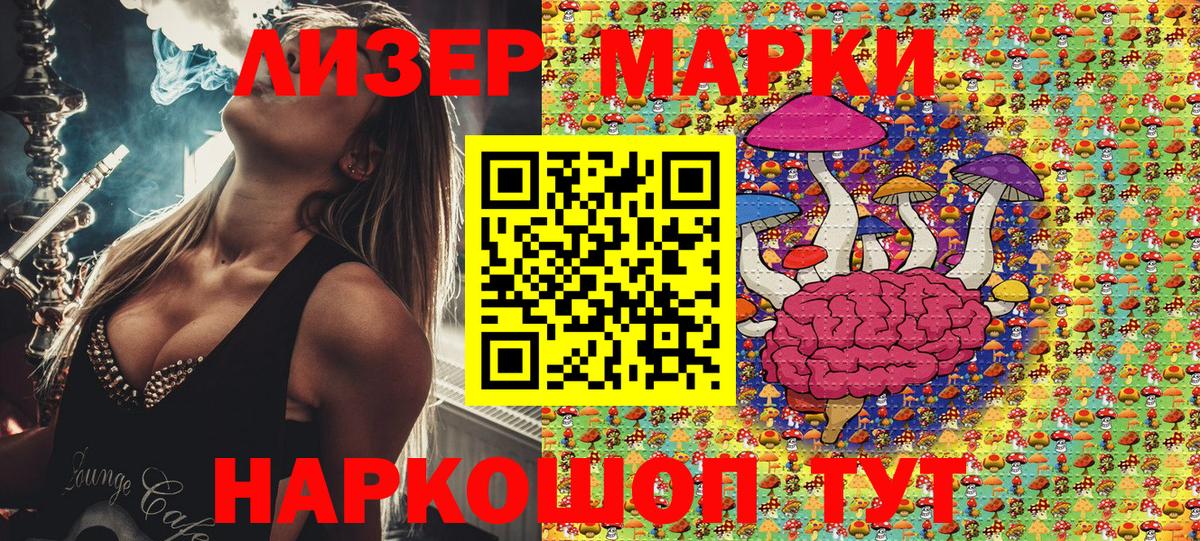 купить наркоту  Марки NBOMe  Кимовск  Вход с VPN  Марки N-bome 1,5мг 