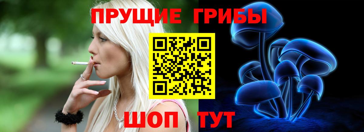 Кимовск  Псилоцибиновые грибы MAGIC MUSHROOMS  Галлюциногенные грибы мухоморы  Вход с VPN 